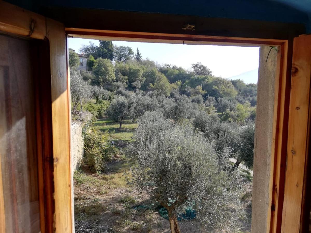 Agriturismo Casamatta Azienda Agricola Calenzano Exteriér fotografie