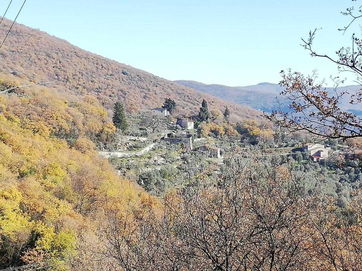 Agriturismo Casamatta Azienda Agricola Calenzano Exteriér fotografie