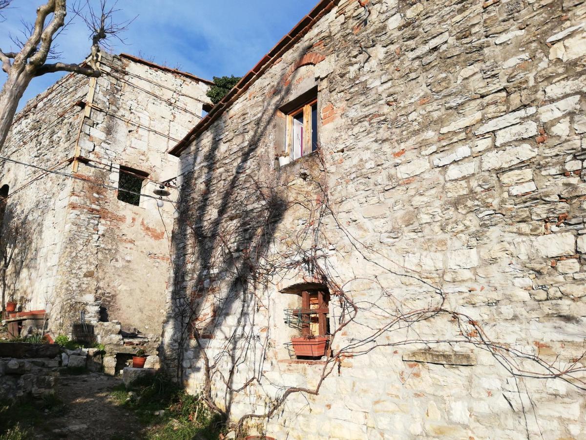 Agriturismo Casamatta Azienda Agricola Calenzano Exteriér fotografie