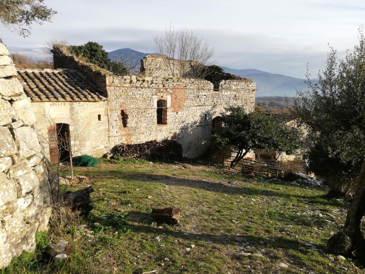 Agriturismo Casamatta Azienda Agricola Calenzano Exteriér fotografie