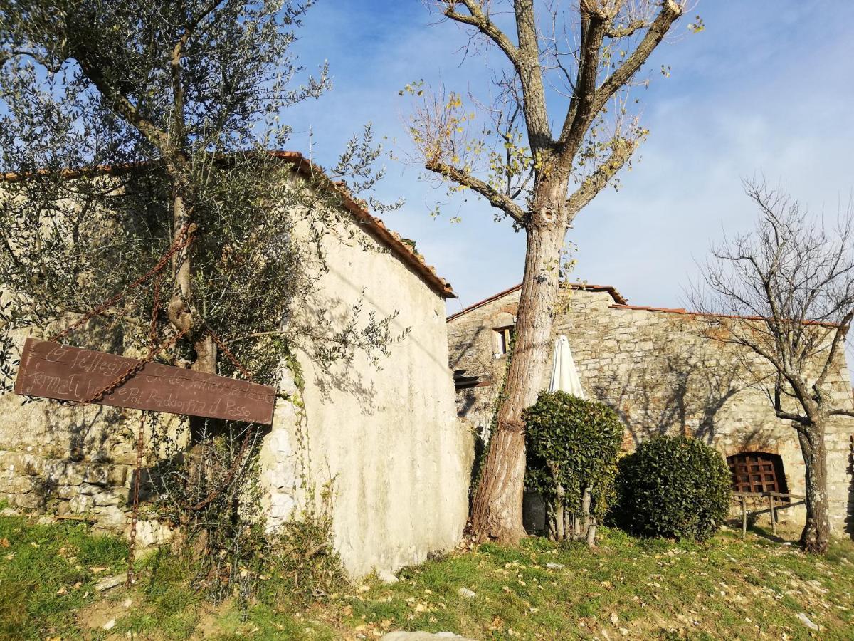 Agriturismo Casamatta Azienda Agricola Calenzano Exteriér fotografie