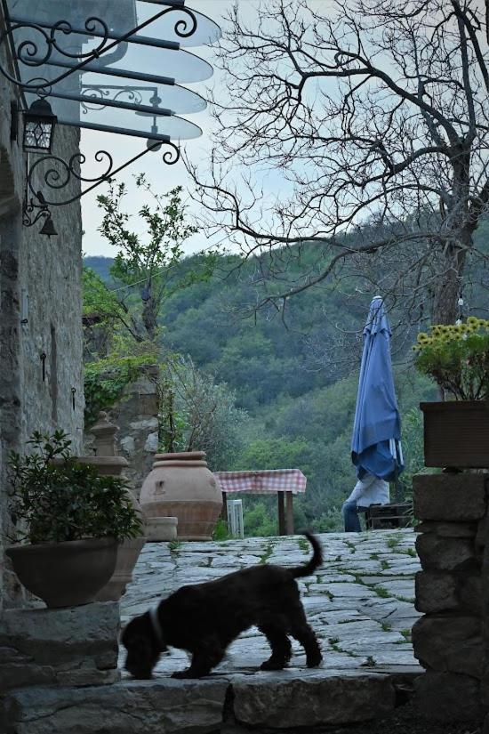 Agriturismo Casamatta Azienda Agricola Calenzano Exteriér fotografie